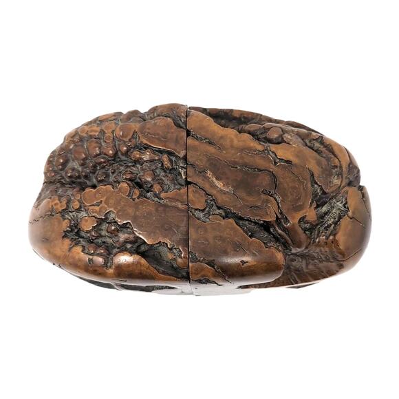 Burl Wood Bookends Live Edge Natural Rustic Library Mid Century Modern Unique - Picture 3 of 10